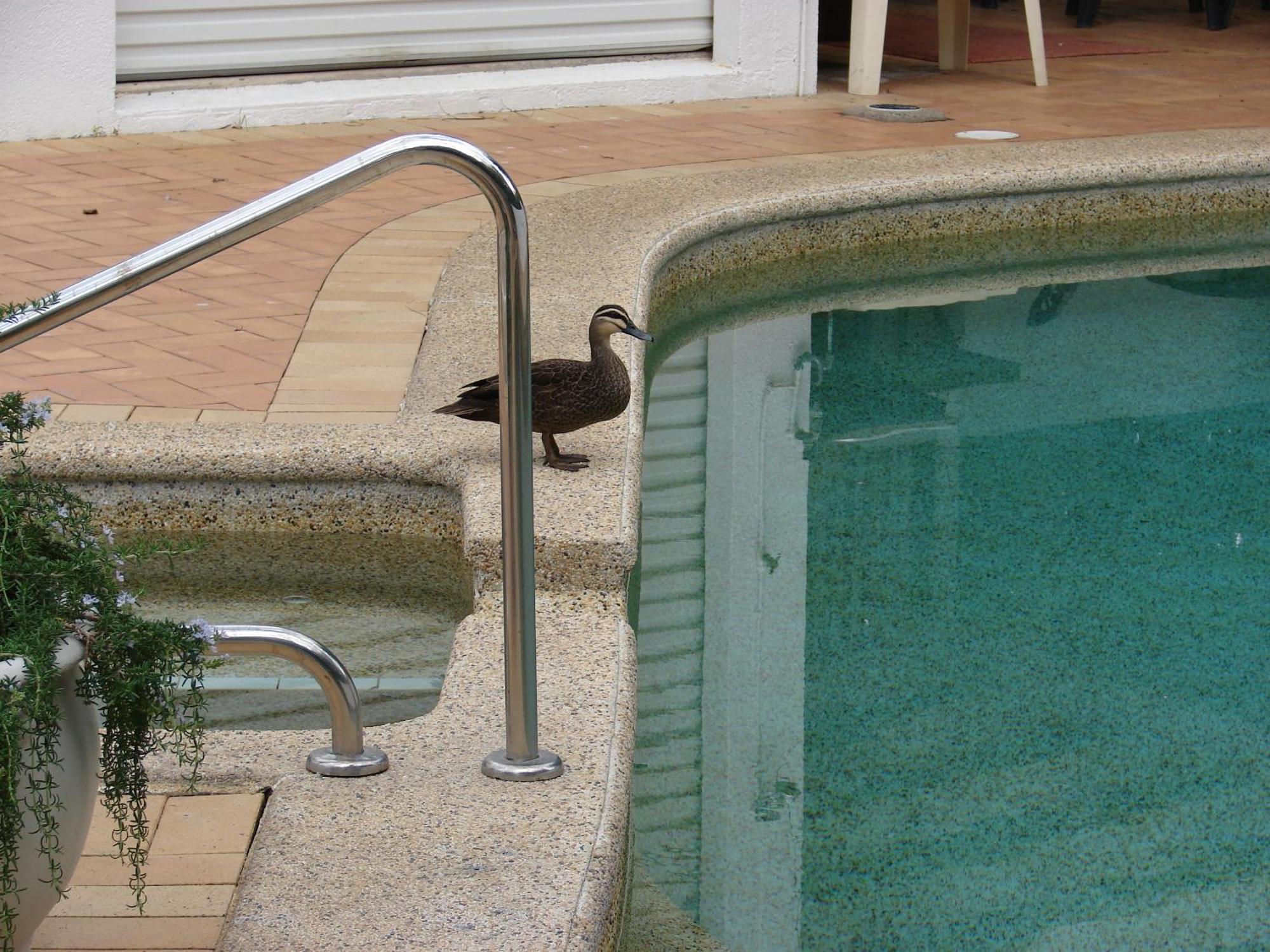 Hotel Portside Noosa Waters Noosaville Exterior foto